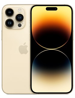 Apple iPhone 14 Pro Max 1TB Gold - фото 4539
