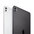 Apple iPad Pro (M4, 2024) 11" Wi-Fi 256 ГБ, серебристый 2581