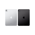 Apple iPad Pro (M4, 2024) 11" Wi-Fi+ Cellular 512 ГБ, «черный космос» 2595 - фото 10611