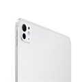 Apple iPad Pro (M4, 2024) 11" Wi-Fi+ Cellular 512 ГБ, серебристый 2596 - фото 10618