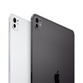 Apple iPad Pro (M4, 2024) 11" Wi-Fi+ Cellular 512 ГБ, серебристый 2596 - фото 10619