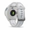 Умные часы Garmin Forerunner 165 Music белый с серым ремешком 010-02863-31 3370