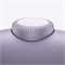 Наушники Apple AirPods Max 2 USB-C (2026), фиолетовый (Purple) (MHWP4) 3438