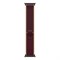 Умные часы Apple Watch Ultra 4 GPS+Cellular, 49 мм, Black Titanium Burgundy Trail Loop 3661