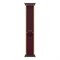 Умные часы Apple Watch Ultra 4 GPS+Cellular, 49 мм, Black Titanium Burgundy Alpine Loop 3662