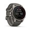 Умные часы Garmin Fenix 9 43mm Amoled Sapphire Titanium with Pebble Gray Silicone Band (010-04761-11) 3695