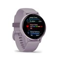 Умные часы Garmin VIVOACTIVE 5 цвет орхидеи с металлическим безелем и силиконовым ремешком 010-02862-13 2458 - фото 9631
